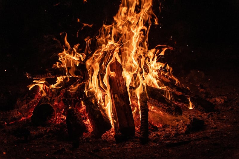 Campfire in the wilderness